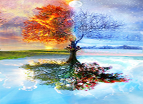 Seasons of a Lady